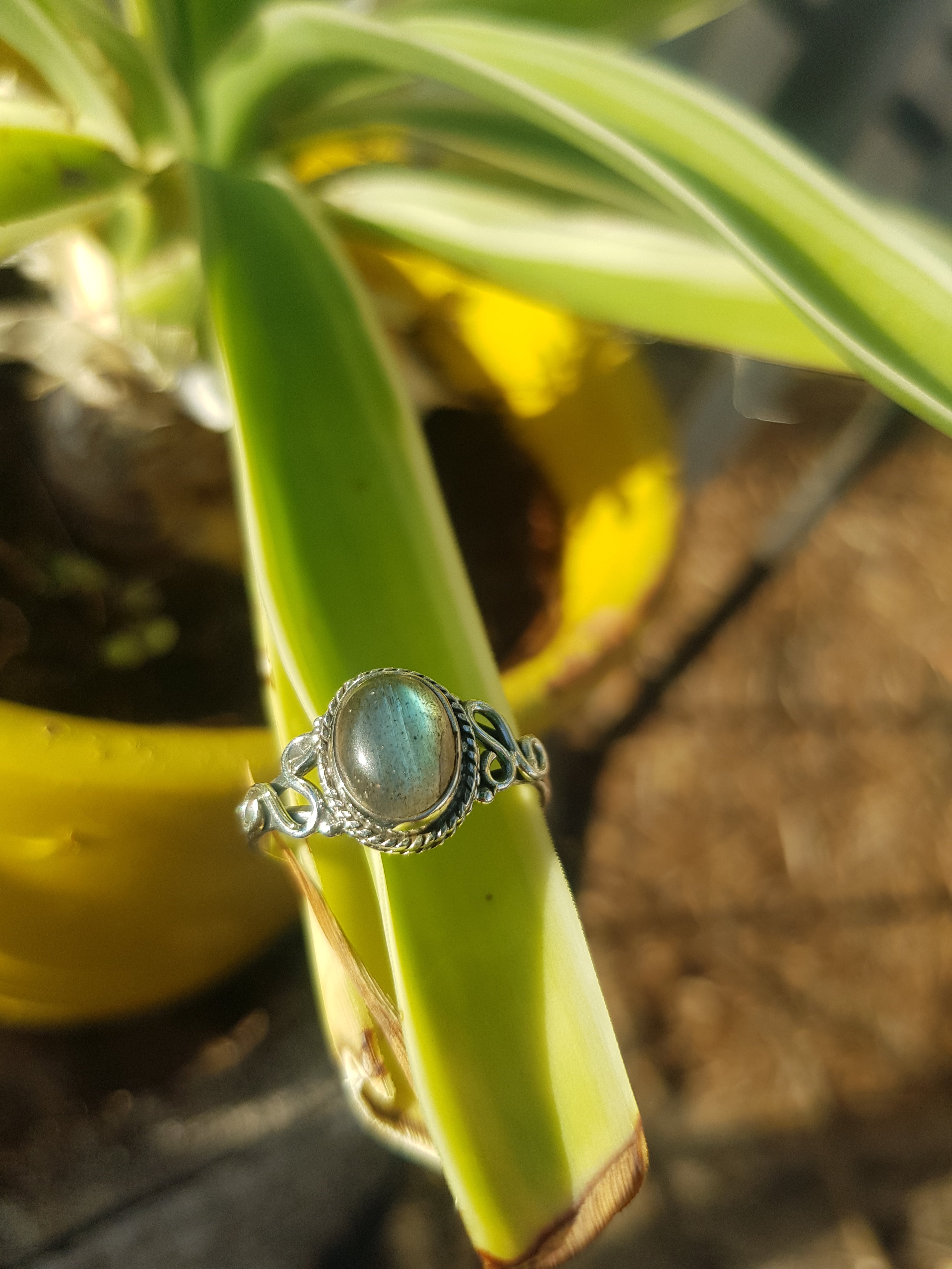 Jewellery - Sterling Silver