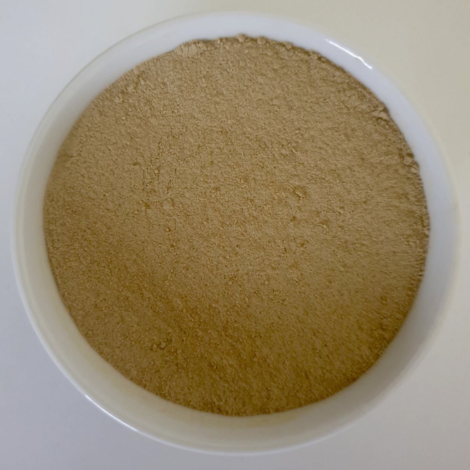 Aloe Vera - Powdered - Organic
