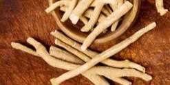 Ashwaghanda - Withania - Organic