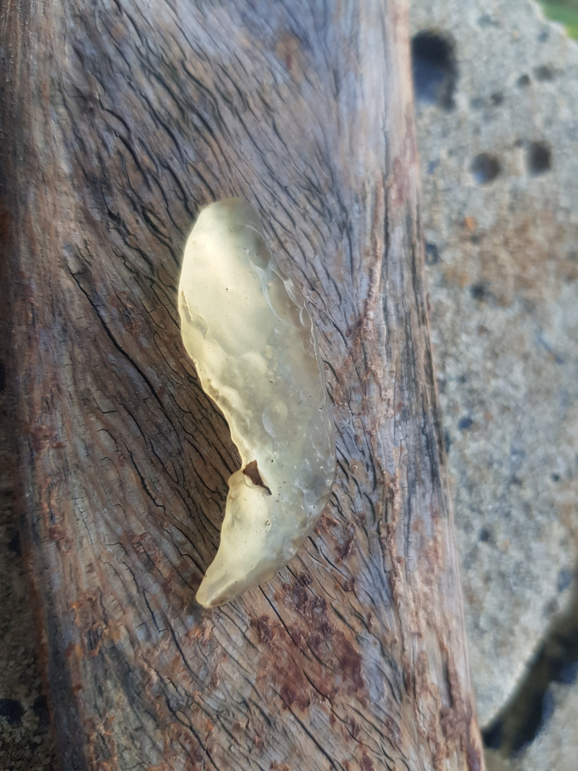 Libyan Desert Glass 2.7gr