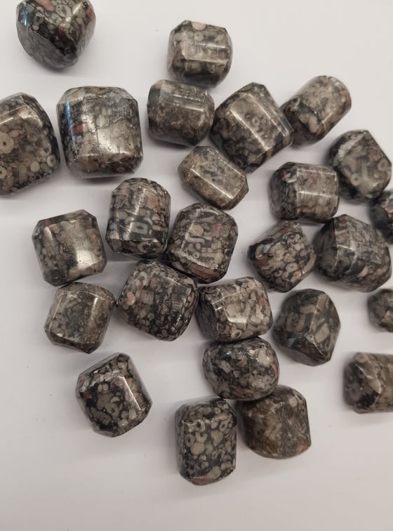 Crinoid - Tumbled Stone