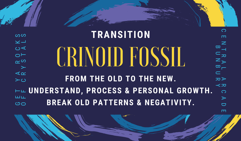 Crinoid - Tumbled Stone