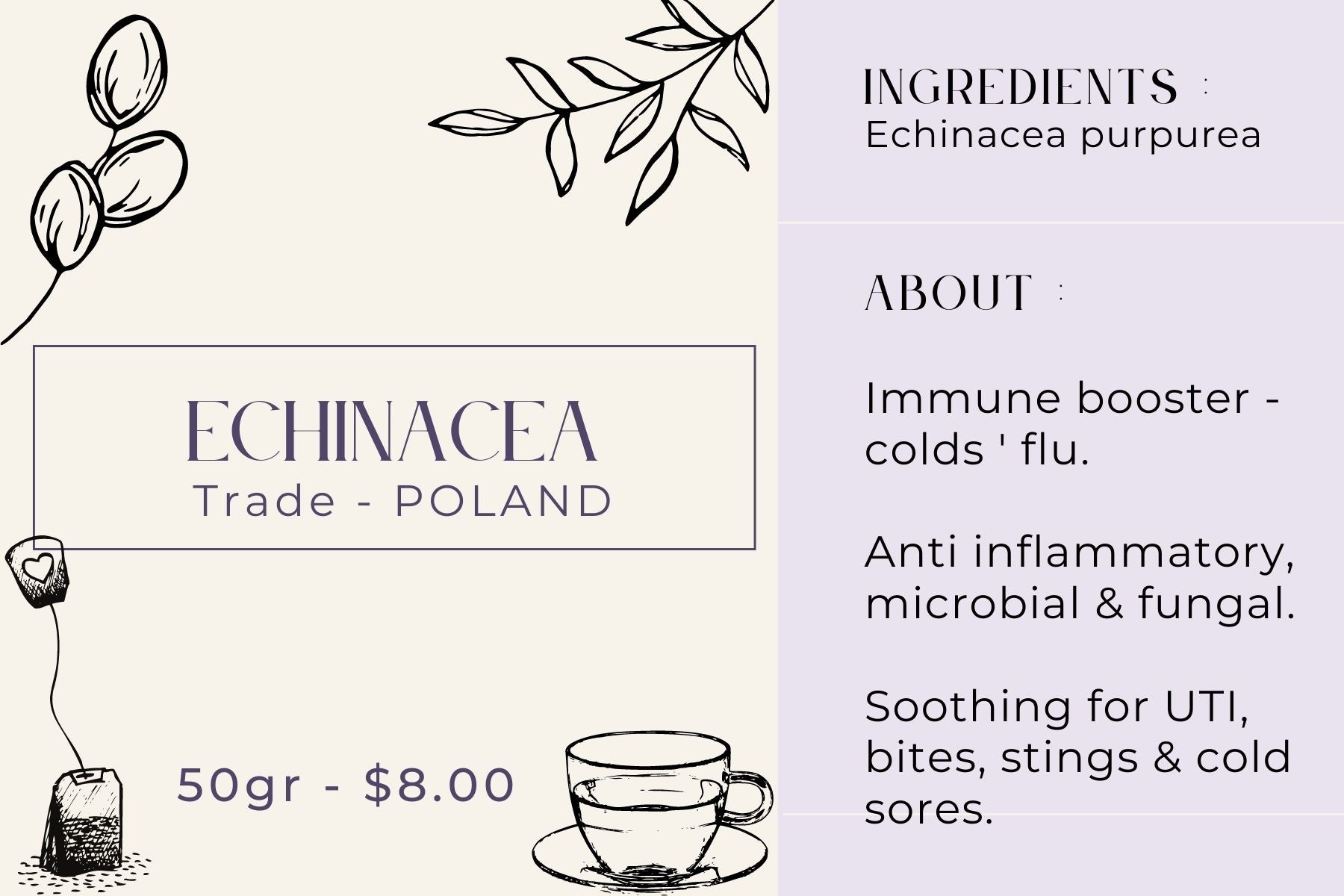 Echinacea  - Trade