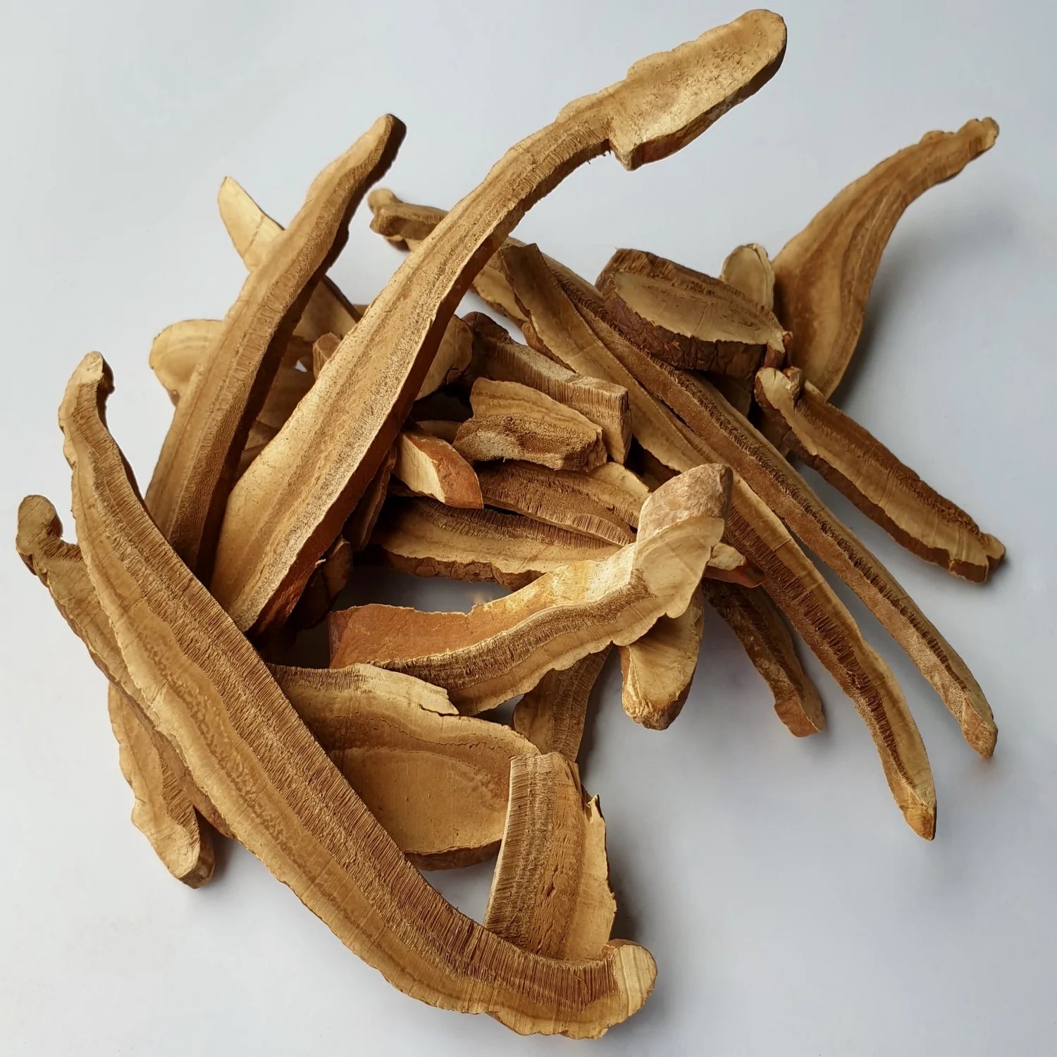 Reishi Mushroom - Organic