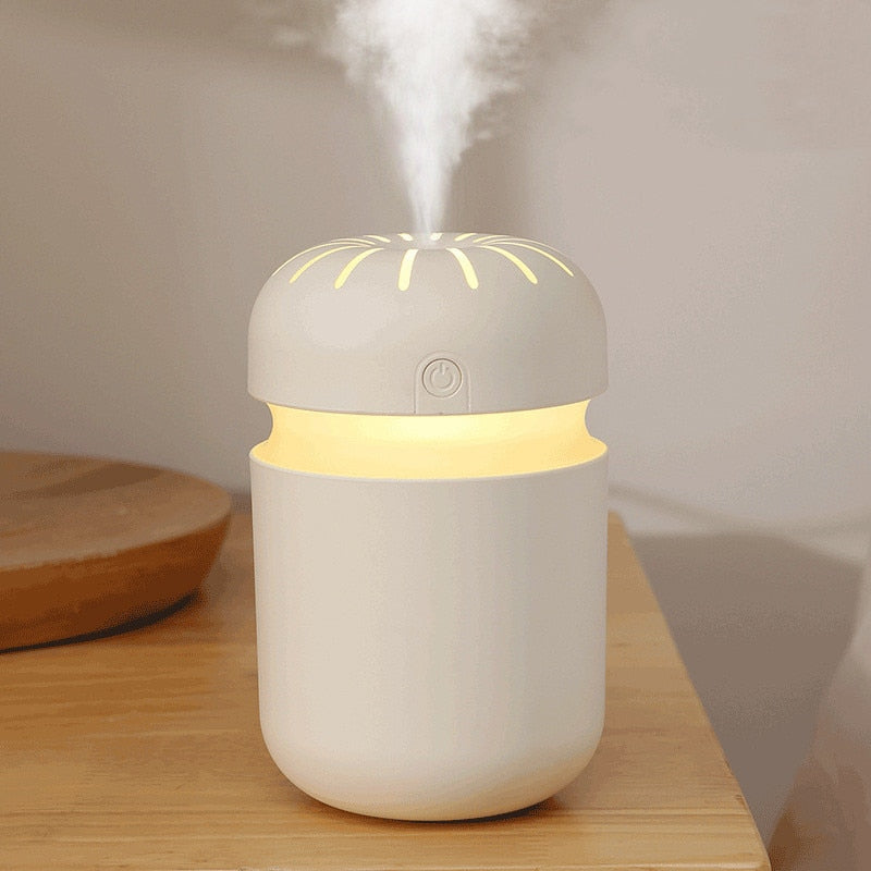 Ultrasonic Air Humidifier - Essential Oil Diffuser - 300ml USB