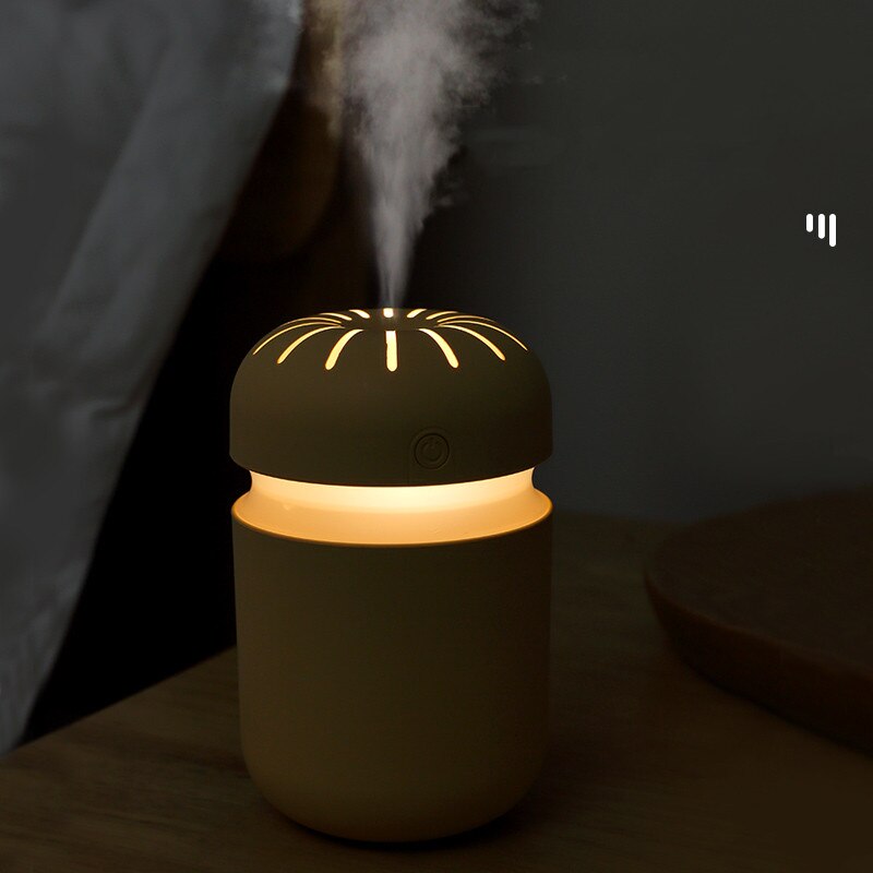 Ultrasonic Air Humidifier - Essential Oil Diffuser - 300ml USB