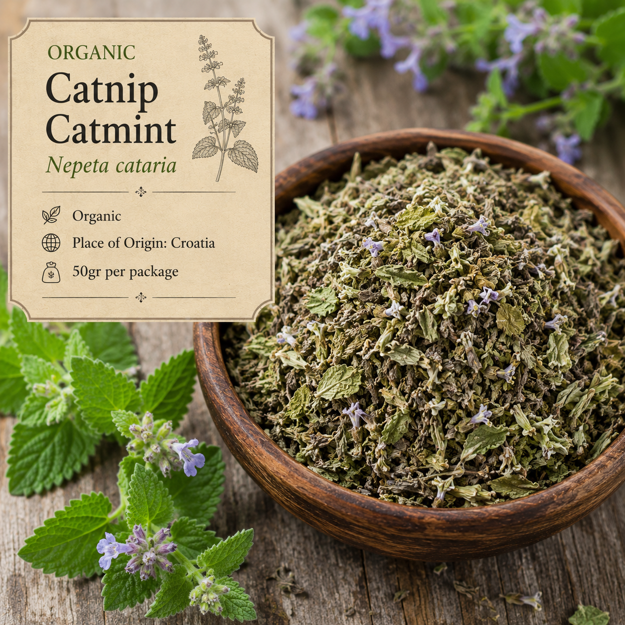 Catnip/Catmint - Organic - Euphoric Calm