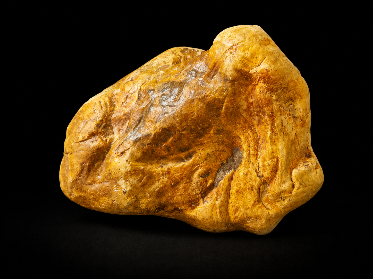 Petrified Wood - Ancestral Connection