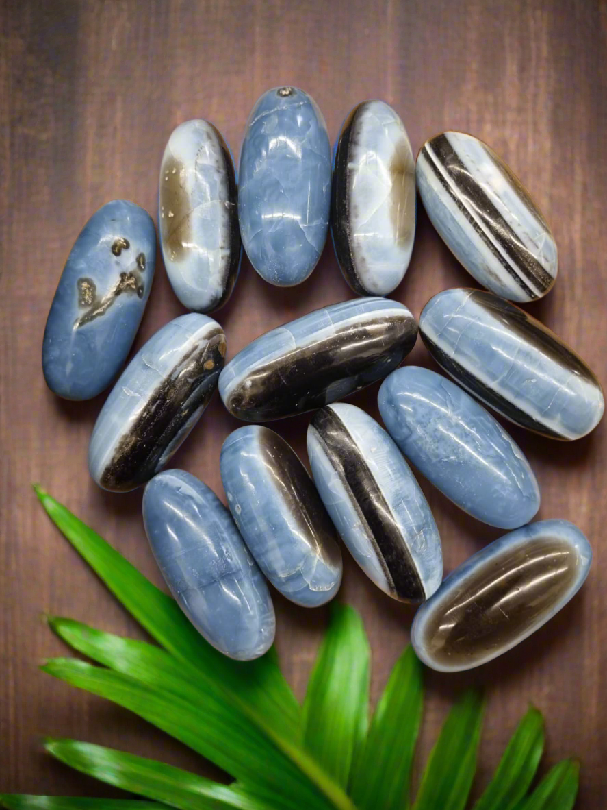 Owyhee Opal - Shiva Stone Style Palmstone (Rare)