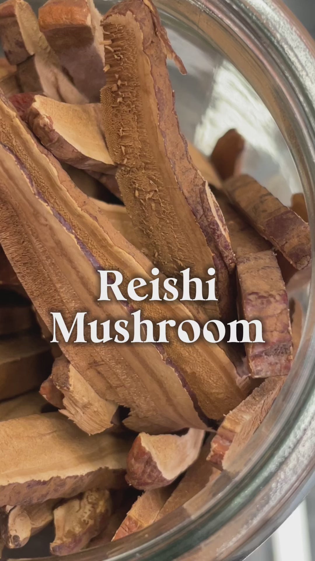Reishi Mushroom - Organic