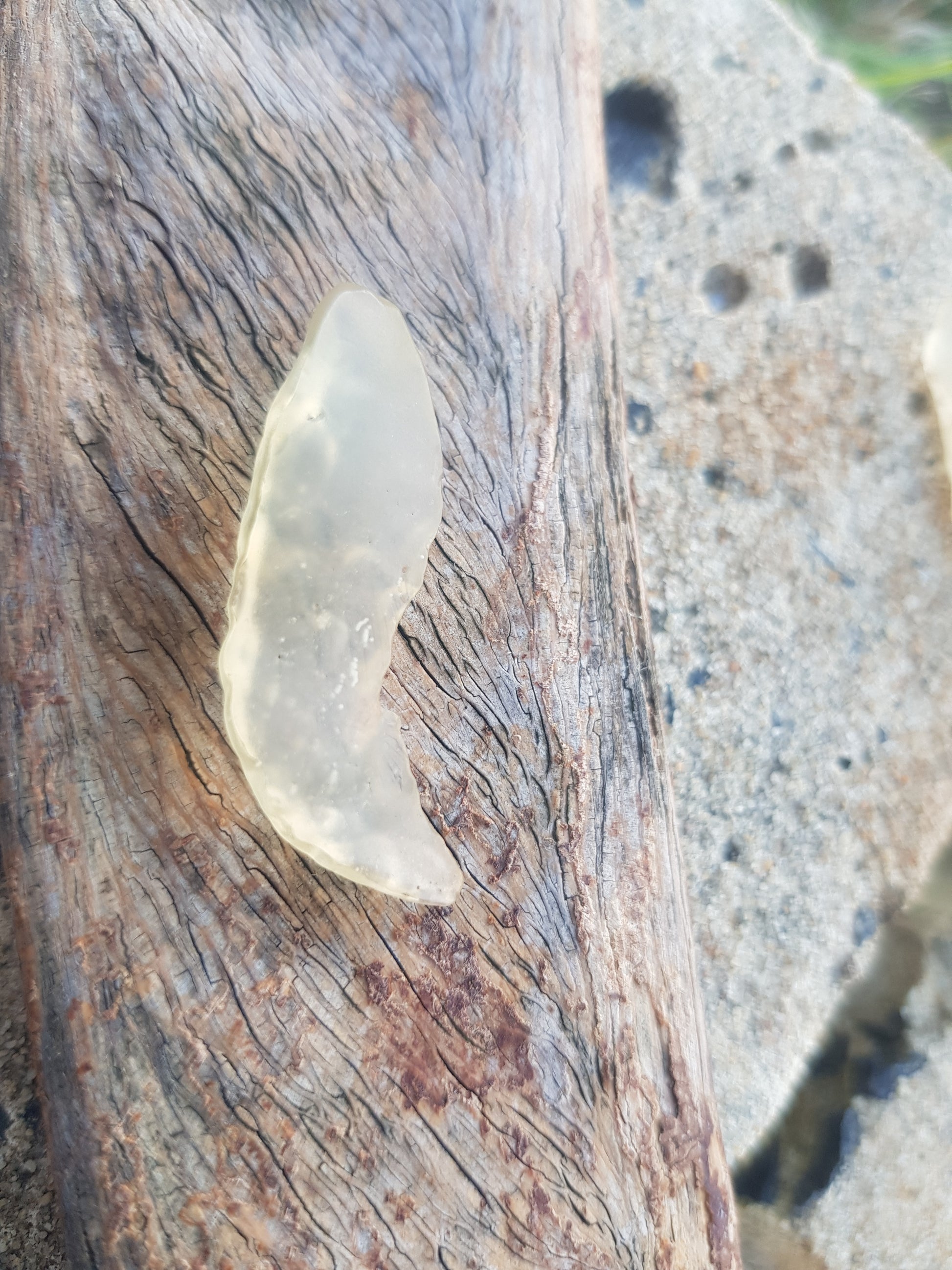 Libyan Desert Glass 2.7gr