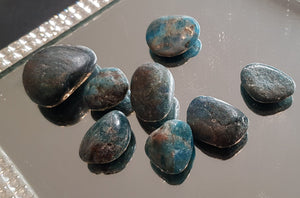 Apatite - Tumbled Stone