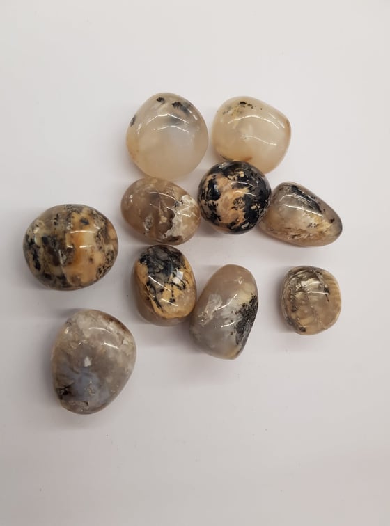 Dendritic Agate - Tumbled Stone