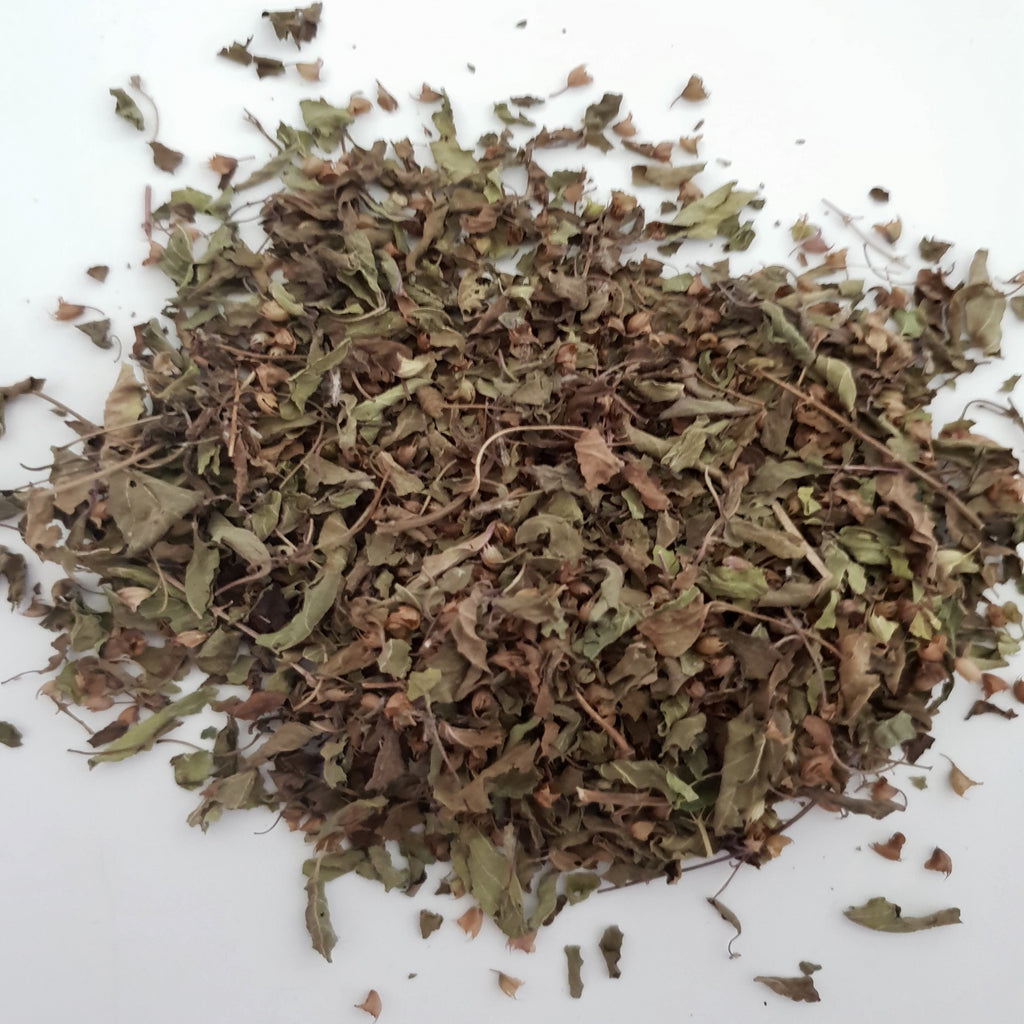 Holy Basil (Tulsi) - Organic