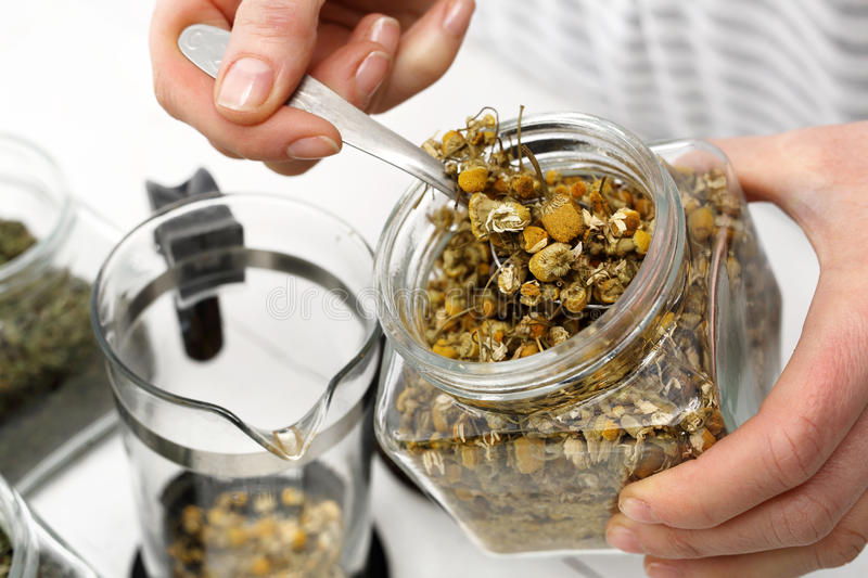 Chamomile - Fair Trade