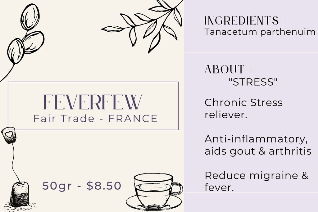 FeverFew - Fair Trade