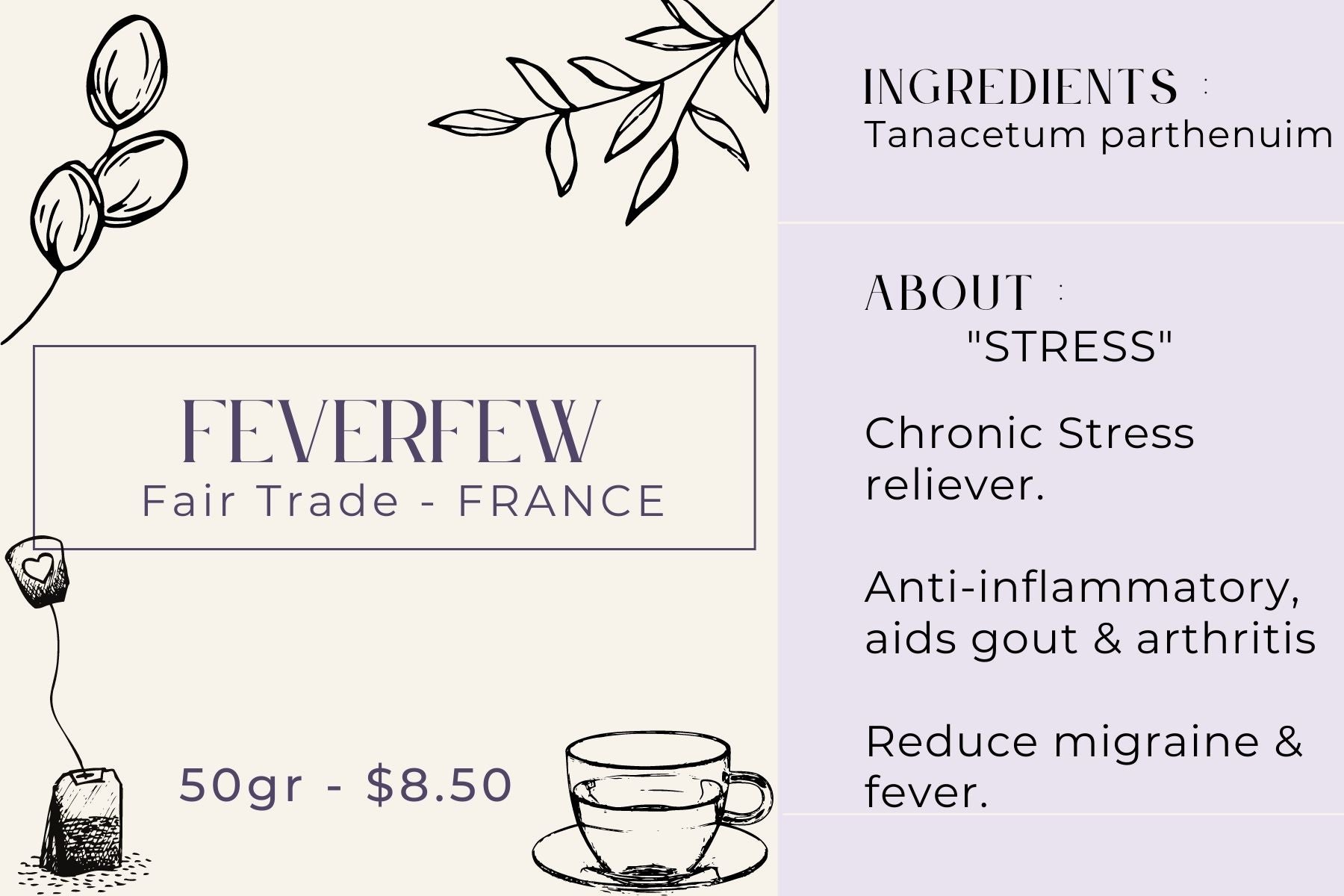 FeverFew - Fair Trade