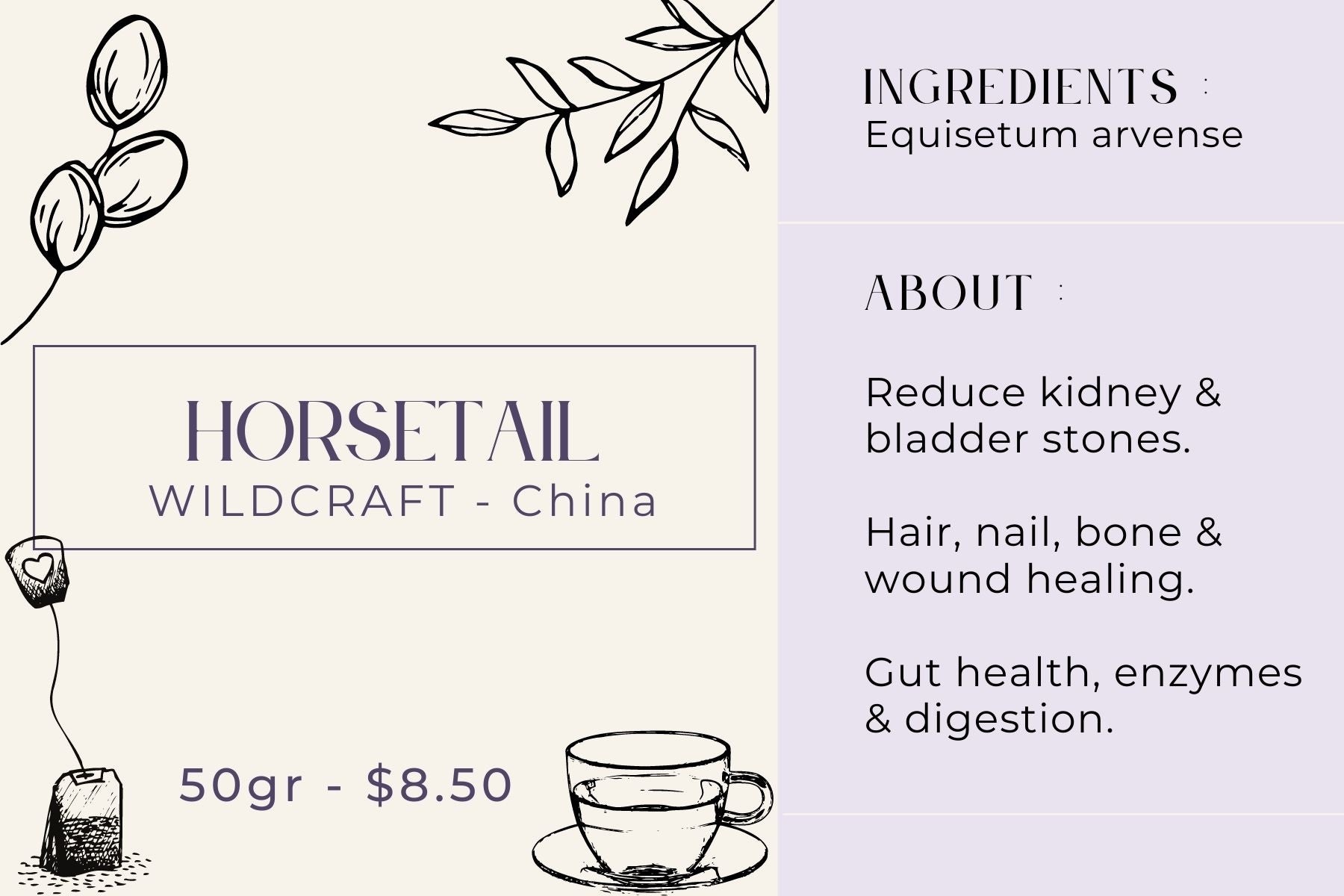 Horsetail (Shavegrass) - Wildcraft