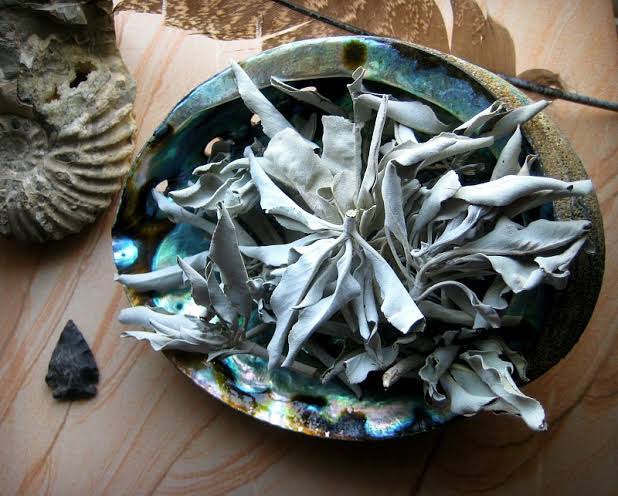 SAGE - White Loose Leaf 10gr